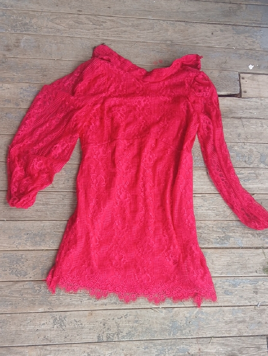 Anthropologie Dresses & Skirts - NWT Raspberry Maeve Anthropologie Lace Long Sleeve Mini Dress Size 4